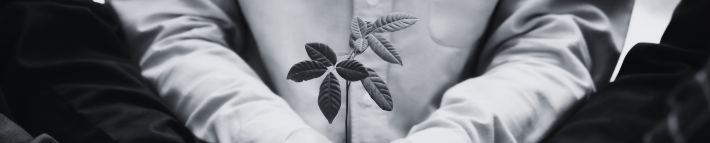 Carbon Reduction