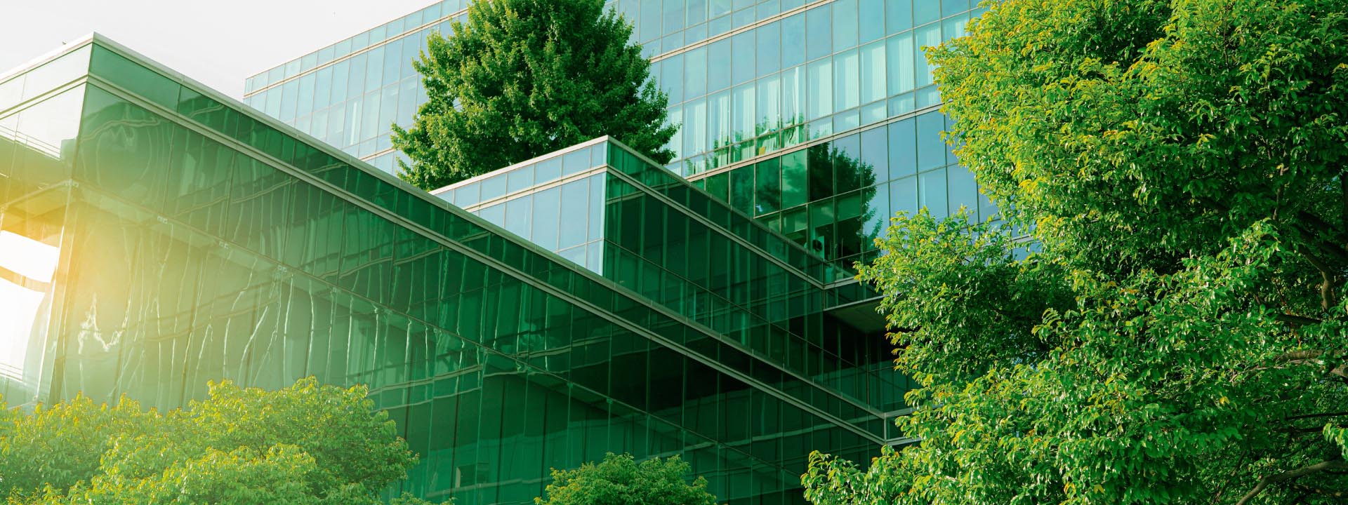 Electric Hotels: The Future of Business Travel
