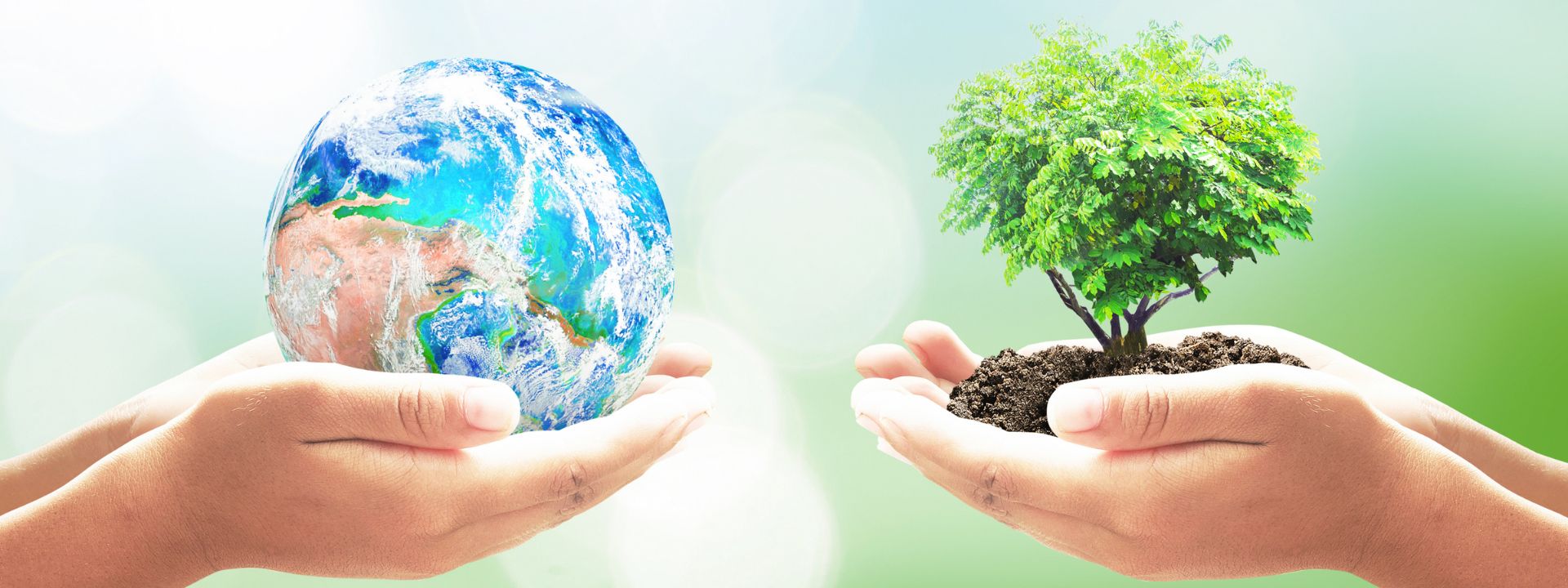 Social Value: Travelling Further Than Business