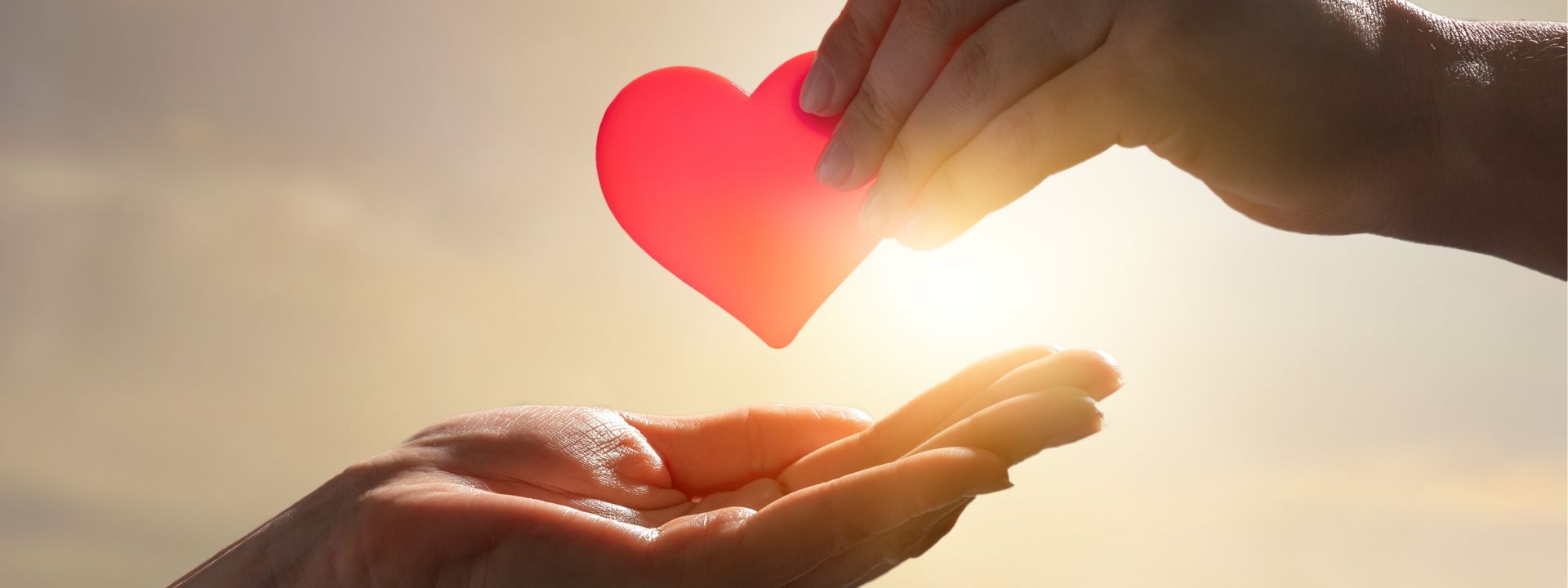 Charity Travel, Simplified